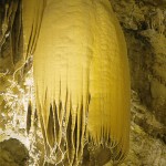 gouffre proumeyssac - meduse
