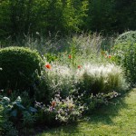 Jardins Albarede - plantes