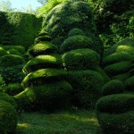 Jardins Albarede - buis