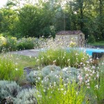 Jardins Albarede - senteurs