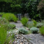 Jardins Albarede - aromatiques