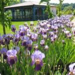 Chemin fleuri - Jardins d'eau