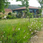 Bâtiment - Jardins d'eau