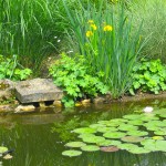 Berges - Jardins d'eau