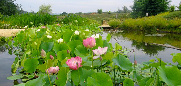 Jardins d'eau a Carsac