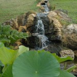 Cascade - Jardins d'eau