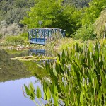 Pont - Jardins d'eau