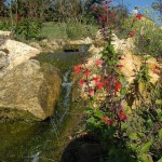 Roche - Jardins d'eau