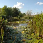 Vue - Jardins d'eau