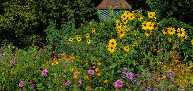 Les Jardins de l'Albarède