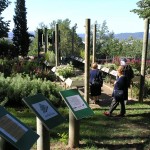 Parc panoramique Limeuil - vue