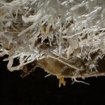 grotte maxange - interieur