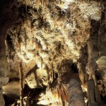 grotte maxange - panneau excentriques