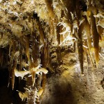 grotte maxange - stalactites et excentriques