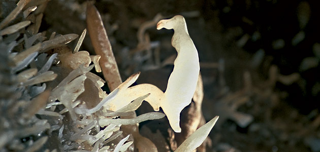 Grottes de Maxange