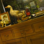 Lacombe - canard