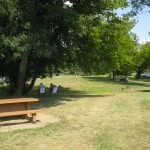 plage du buisson - table picnic